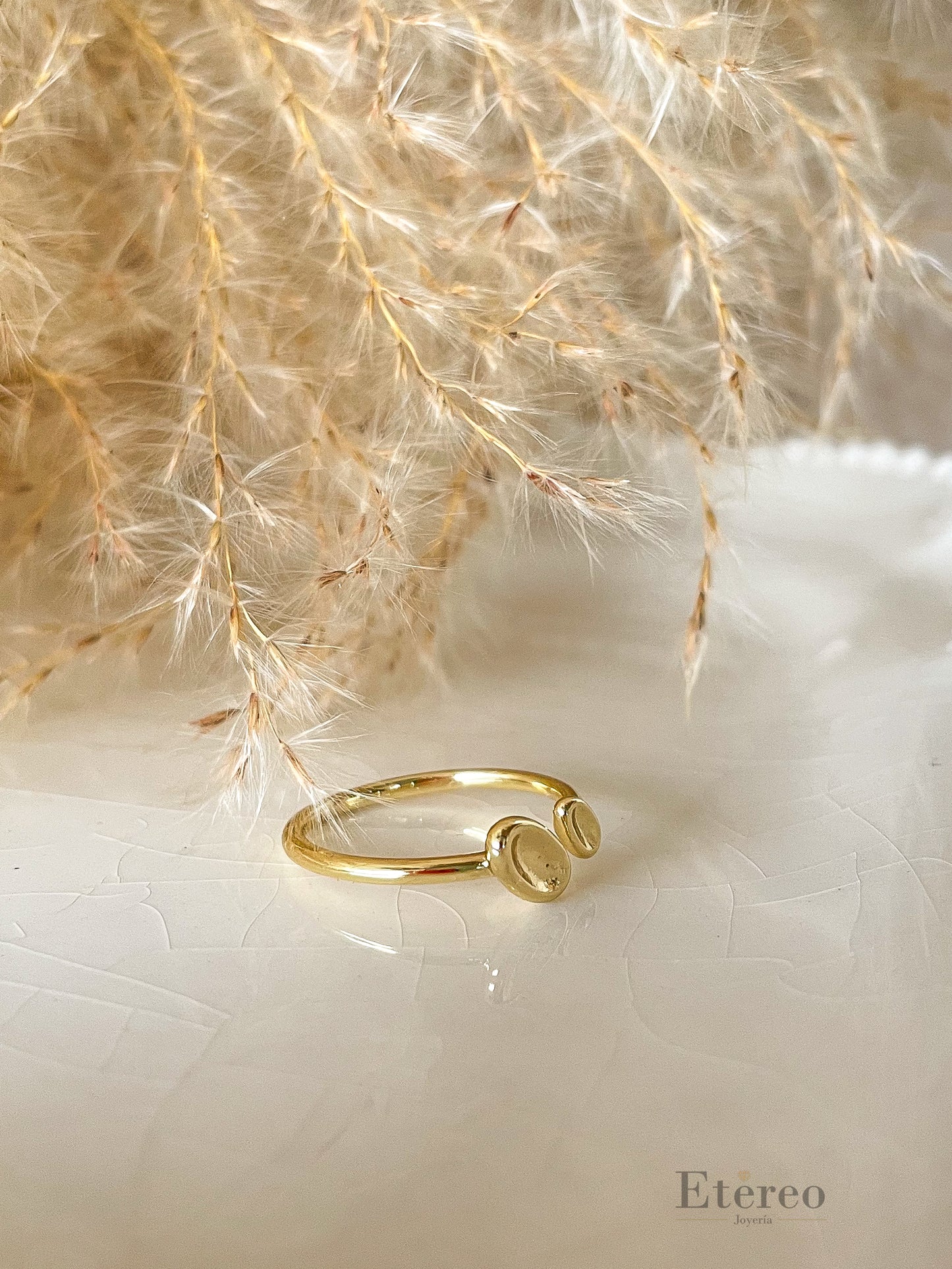 Anillo Ane