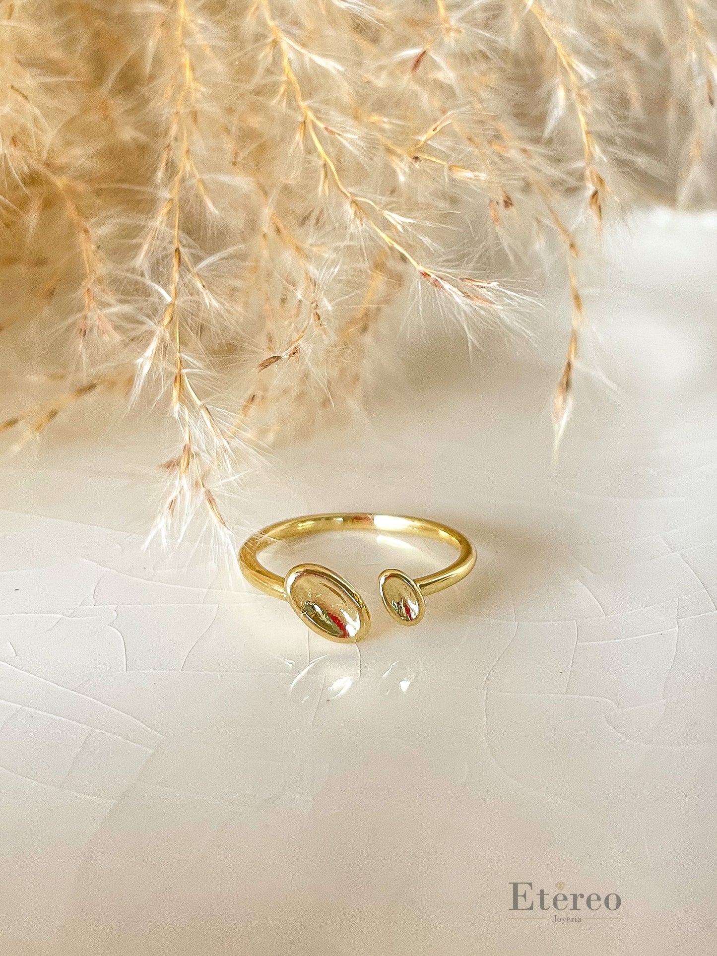 Anillo Ane