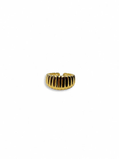 Anillo Runi