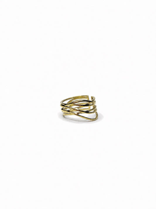 Anillo Julen