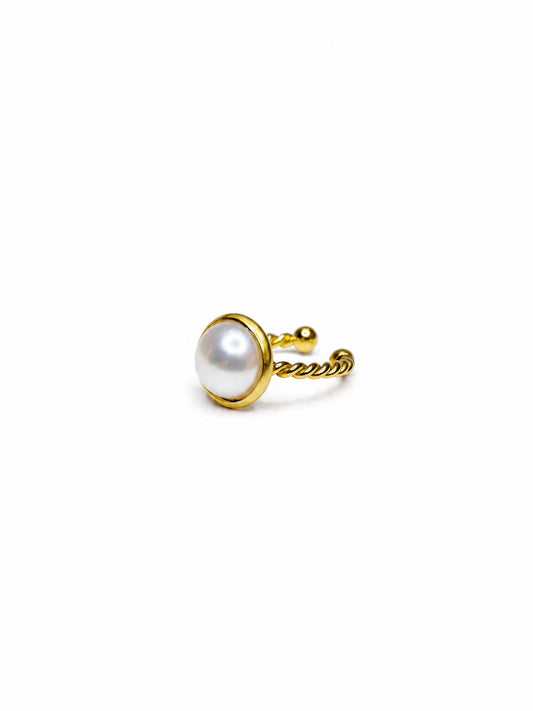 Anillo Perl