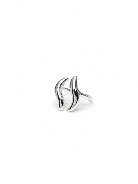 Anillo Olas